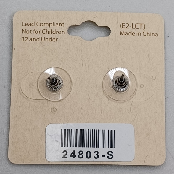 NWT Texas State Silvertone Western Boho Stud Earrings - Picture 5 of 5